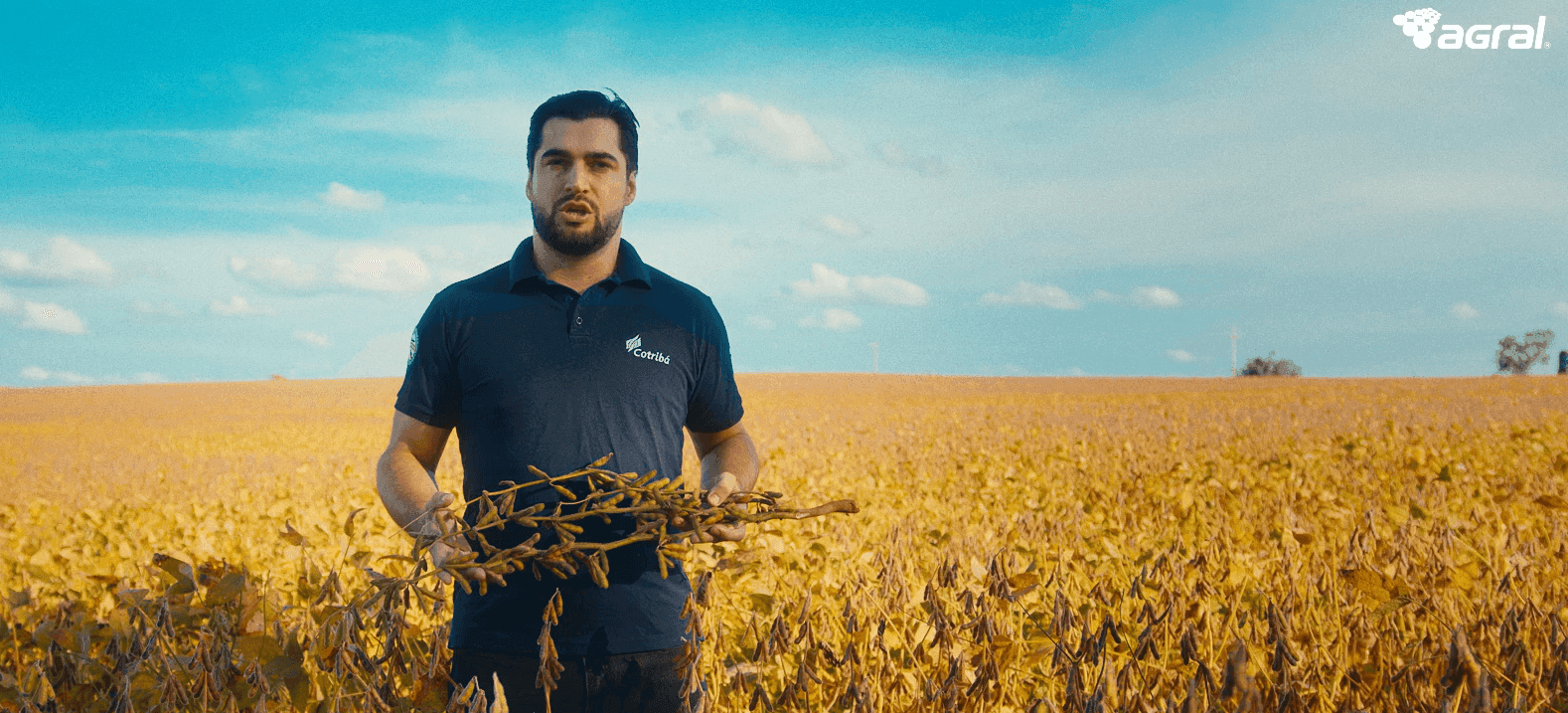 Vídeo do Produto